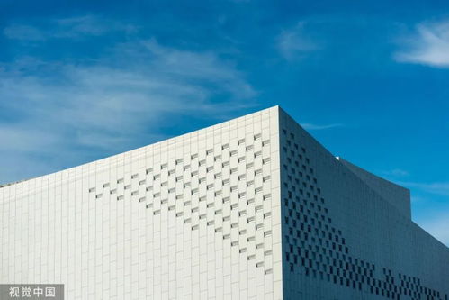 8萬元深圳3日游？網友調侃 努力一把，9萬元回家